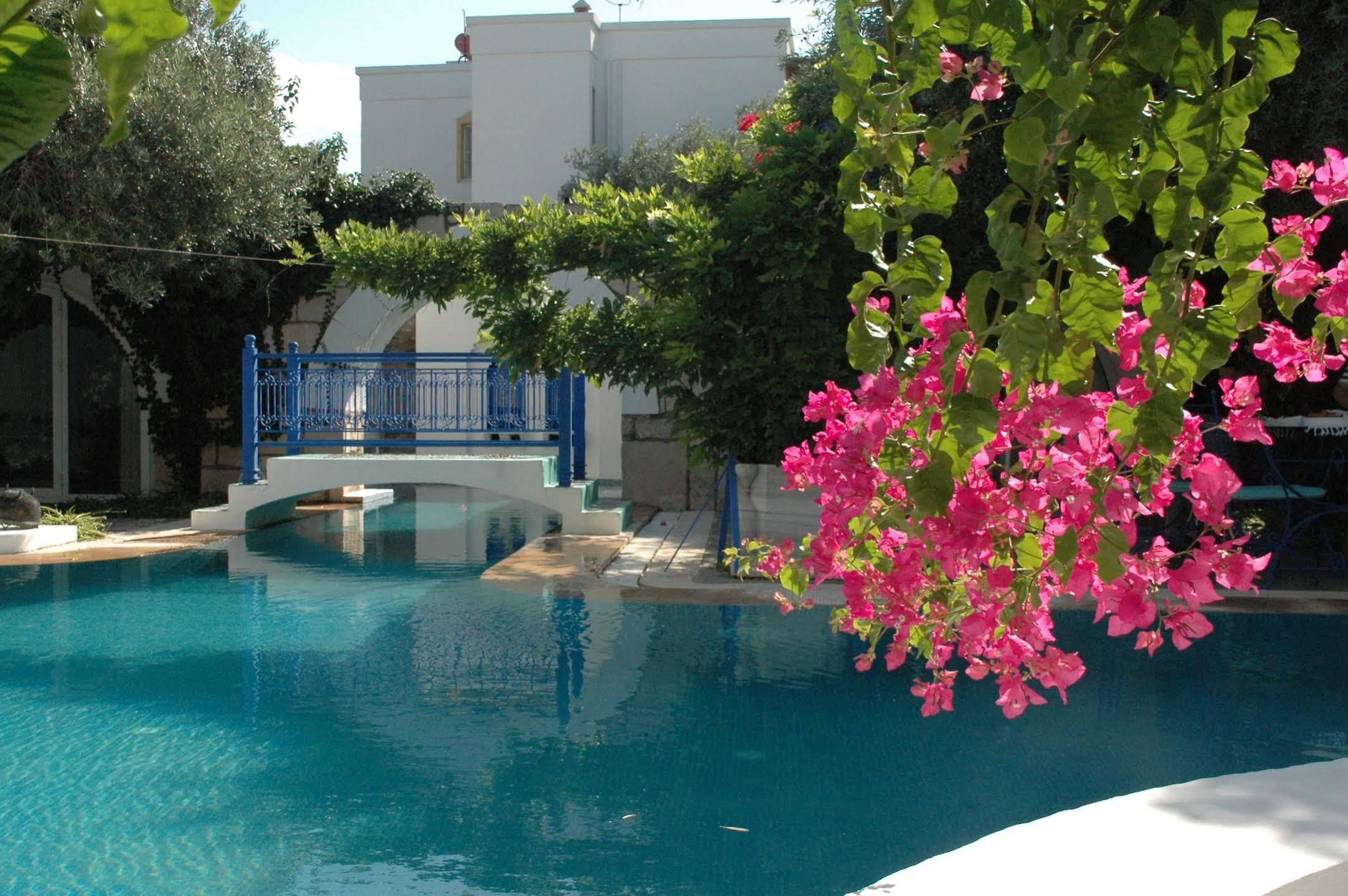 Villa Oliva Butik Hotel Konacik Exterior foto